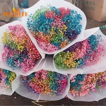 Букет эониума, сушеные цветы, яркий цвет, не выцветает, простота в уходе, натуральная сушеная гипсофила, сцена украшения ко Дню святого Валентина. небесно-голубой