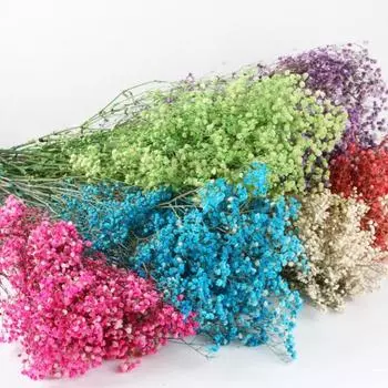 Букет из сухоцветов Yousheng Aeonium, яркие цвета, не выцветают, легко ухаживать, натуральная сушеная гипсофила, украшение ко Дню святого Валентина