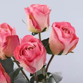 Букет роз Свадебный цветок розы искусственные вечные розы букет цветов