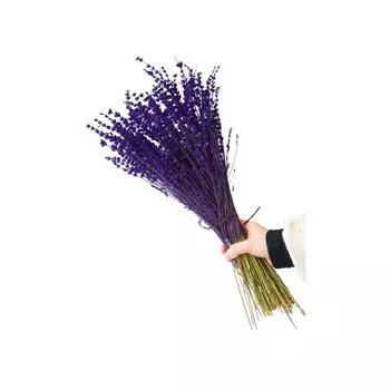 Букет сухой лаванды фиолетовый