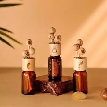 Буковый ароматический диффузор без огня, палочки для украшения DIY, диффузор, инструменты для гостиной