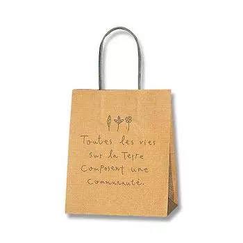 Бумажный пакет Shimojima Heiko 25CB Nature 21x12x25см 50 листов 003266411 21-12