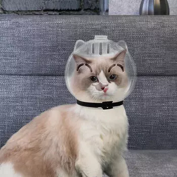 Бюро с подшипниками для кошек Прозрачная открытая крышка Лапа Тайна Косметические принадлежности M