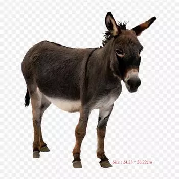 Burro Donkey Mule, термотрансферная печать, виниловые нашивки, наклейки для одежды, аппликации «сделай сам», моющиеся нашивки