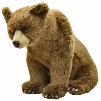 Бурый медведь №5731
