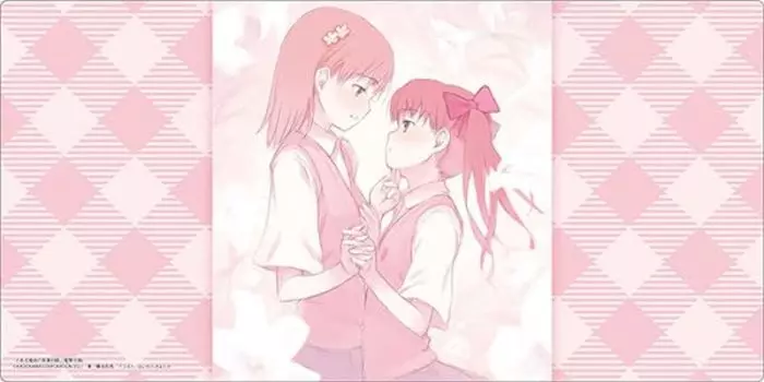 Bushiroad Коллекция резиновых ковриков V2 Dengeki Bunko A Определенный магический указатель Куроко Мисака Том 895 «Микото и Сираи»