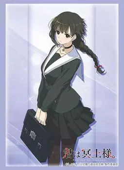 Bushiroad Коллекция рукавов Высокий класс Ты из подземелья Том 4638. Снег Часть 2