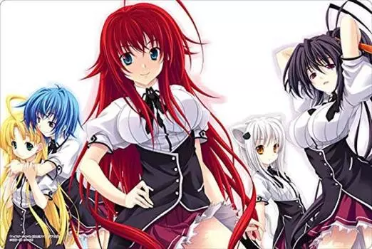 Bushiroad Rubber Mat Collection Fujimi Fantasia Bunko School Vol.433 High DxD