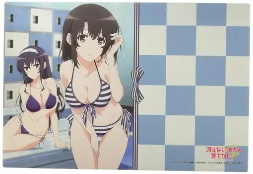 Bushiroad Rubber Mat Collection How to Raise a Boring Girlfriend Vol.571 Saekano “Megumi & Utaha”