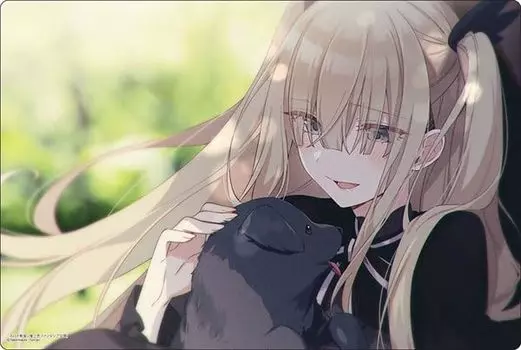 Bushiroad Rubber Mat Collection V2 Fujimi Fantasia Bunko Spy Classroom Vol.1349 Erna