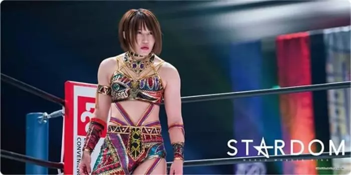 Bushiroad Rubber Mat Collection V2 STARDOM Vol.630 “Akari”