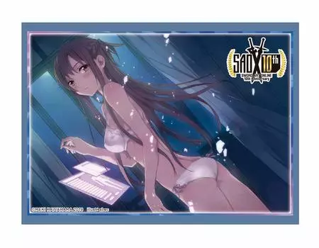 Bushiroad Sleeve Collection High Grade Dengeki Bunko Sword Art Online Aincrad Vol.2301 Asuna