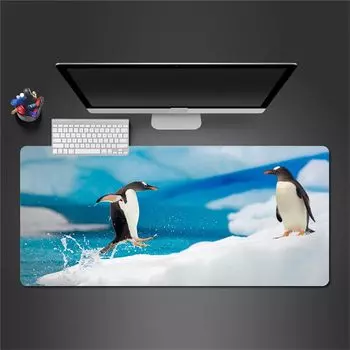 Bushiroad Sleeve Collection High Grade Fujimi Fantasia Bunko Akashic Records of Bastard Magic Instructor Vol.4655 Sistine Fiebel Part.3