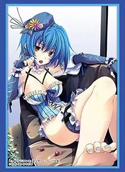 Bushiroad Sleeve Collection High Grade Fujimi Fantasia Bunko High School Vol.2153 DD Xenovia Quarta