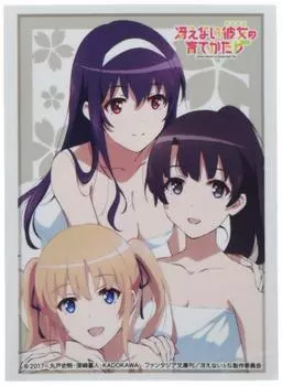 Bushiroad Sleeve Collection High Grade How to Raise a Boring Girlfriend Vol.2347 Megumi, Eriri, Utaha