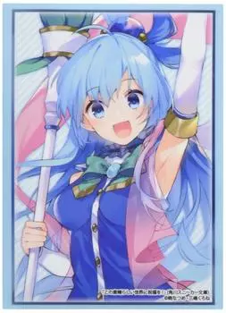 Bushiroad Sleeve Collection High Grade Kadokawa Sneaker Bunko blessing on this wonderful Vol.2538 KonoSuba God s world! Aqua Part.2