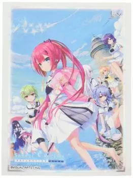 Bushiroad Sleeve Collection High Grade Pockets REFLECTION Vol.2403 “Summer BLUE”