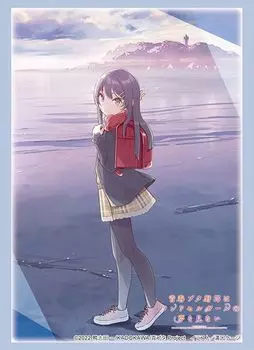 Bushiroad Sleeve Collection High Grade Rascal Does Not Dream of a Schoolbag Girl Vol.4319 Schoolbag Girl