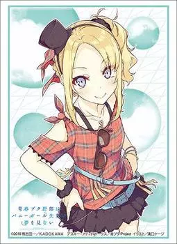 Bushiroad Sleeve Collection High Grade Rascal Does Not Dream of Bunny Girl Senpai Vol.1971 “Toyohama Nodoka” Part.2