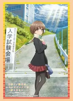 Bushiroad Sleeve Collection High Grade Seishun Buta Yarou wa Odekake Sister no Yume wo Minai Hana Vol.4318 Azusagawa Kaede Part.3