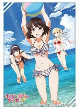 Bushiroad Sleeve Collection High Grade to Raise a Boring Girlfriend Vol.1304 How Part.2