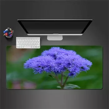 Bushiroad Sleeve Collection High Grade Touhou LostWord Vol.4666 Flandre Scarlet Part.2