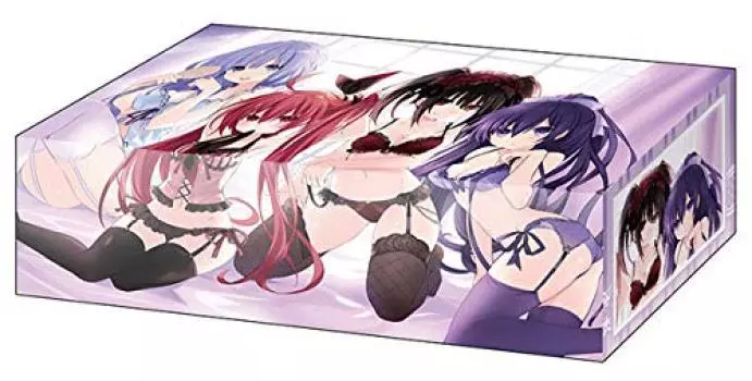 Bushiroad Storage Box Collection Fujimi Fantasia Bunko Date A Live Vol.442 Tohka, Kotori, Kurumi, Miku