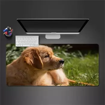 Bushiroad Storage Box Collection V2 THE CINDERELLA GIRLS da Vol.362 IDOLM@STER Mugen LP LOVE