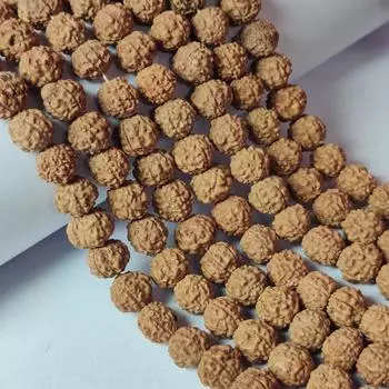 Бусины Рудракша, бусины размером 6 мм, 8 мм, 10 мм, настоящие натуральные бусины Рудракша, свободные бусины Рудракша, бусины длиной 14-15 дюймов. 6 MM 1 Strand Beads