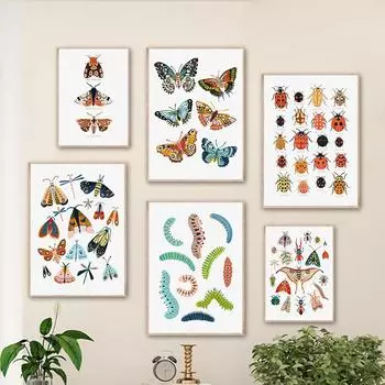 Бабочка, божья коровка, гусеница, весенняя моль, постеры и принты, современные картины на холсте с изображением растений, настенное искусство для гостиной, домашний декор 21x30cm No Framed