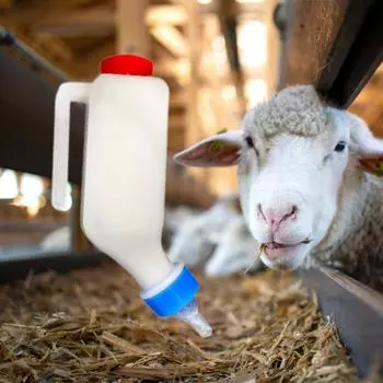 Бутылка для поения телят с соской, держатель для бутылочек для овец и ягнят 500 мл 500ml 12cm