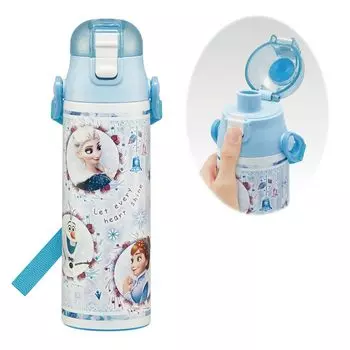 Бутылка для воды из нержавеющей стали Skater, 580 мл, Disney Frozen 24, легкая, холодного типа, для хранения, спортивная, прохладная, для детей