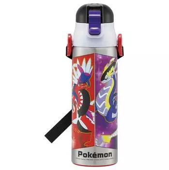 Бутылка для воды Skater из нержавеющей стали Water Direct Pokemon, легкая, для холодного хранения, спортивная, детская, питьевая, 580 мл, 23N,