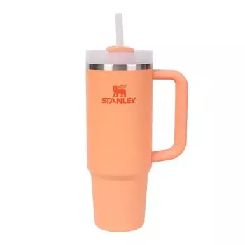 Бутылка для воды STANLEY Кружка-кружка вакуумная тонкая NECTARINE H2.0 0.88L 10-11825-197 (Вспышка оранжевая/FF)