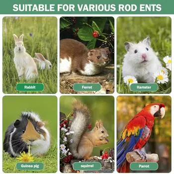 Бутылка с подогревом для кролика, 32 унции, бутылка с водой без капель, с металлическим носиком, автоматический термостатический диспенсер для воды для кроликов, хомяк