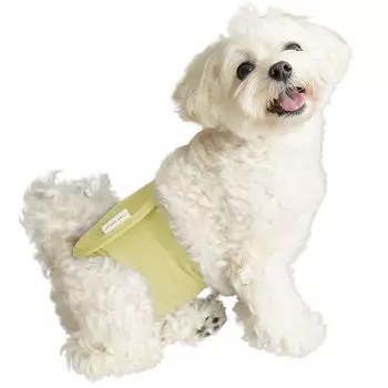 by a lifestyle manner belt for marking leak stretch for stays in belly band for nursing available in 5 sizes [Supervised veterinarian] Dog s dogs,