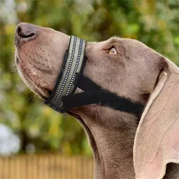 Быстросъемный намордник для собак, летняя уличная маска против укусов для маленьких, средних и больших собак, светоотражающая лента, аксессуары для собак S