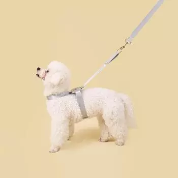 Быстросъемный поводок для собак, не требующий усилий, регулируемый мягкий поводок для маленьких и средних собак, чихуахуа cat and small dog
