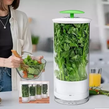Бытовая чистая зеленая овощная прозрачная консервирующая трава кинза петрушка дышащая консервация свежий контейнер для хранения коробка зелёный