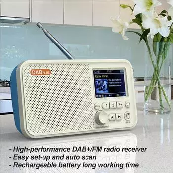 C10 2,4-дюймовый цветной ЖК-экран Будильник DAB DAB+ FM Цифровое радио Bluetooth-совместимое 5.0 Радиовещание Поддержка TF-карты чёрный