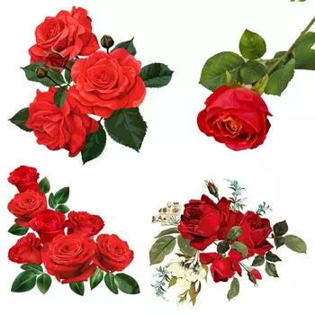 C246 # Страстная Роза Настенная Наклейка Ванная Комната Туалет Декор Наклейки Гостиная Шкаф Украшения Дома Самоклеящаяся Фреска A-30x29.4cm-PET