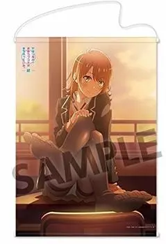 C95 Limited Comiket After my youth romantic comedy is Continued Original B2 Tapestry Isshiki Iroha Kuro Tights all, wrong. ver.