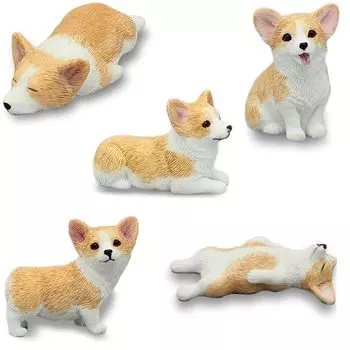 C.Yullyhime corgi goods фигурка корги набор из 5 фигурок (желтый белый) набор самоклеящихся листов мини милая собака животное настоящая фигурка ПВХ пластиковая модель премиум