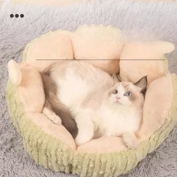 Кактусовый вольер для кошек Зимний теплый вольер для домашних животных Всесезонный вольер для собак Полузакрытый вольер для кошек Дом для кошек M