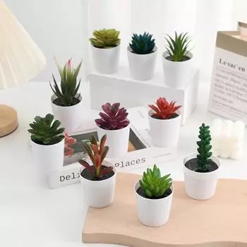 Cactus Succulent Artificial Succulent Bonsai Fake Plants Plastic Succulent Bonsai Plants Desk Decoration Mini Succulent Potted