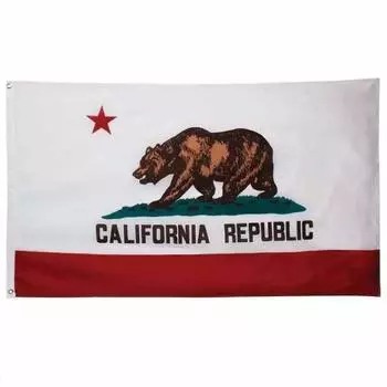 California Flag Interior State Flag Tapestry Big Flag California American Miscellaneous Goods West Coast Garage 90cm x 150cm (KCOS)