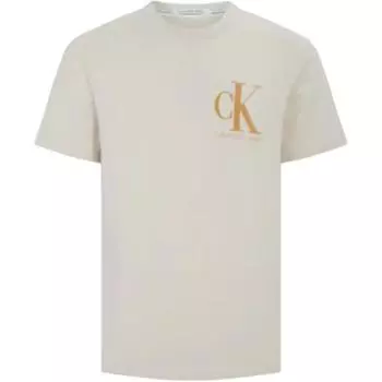 Calvin Klein Повседневная футболка с буквенным принтом и коротким рукавом, мужские топы цвета хаки J320783-ACF L