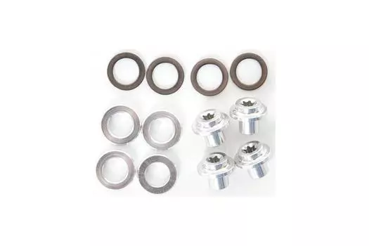 campagnolo Комплект гаек и шайб для крепления держателя тормозной колодки (фуригана Кампаньоло) BR-RE041