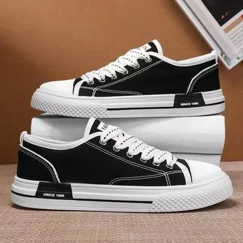 Canvas shoes men s 2025 new spring non-slip casual sports niche design youth soft-soled low-top board shoes 39