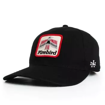 Cap Hat Baseball Cap Low Cap Men Women BLACK [American Needle] SMU702A-FBRD